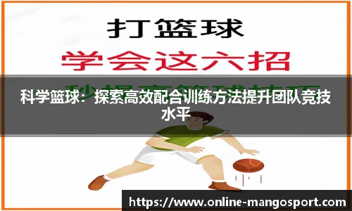 芒果体育官网入口