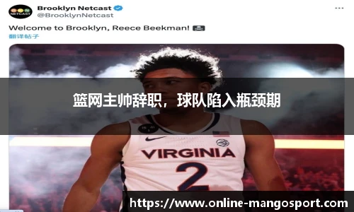 芒果体育官网入口