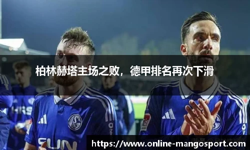 芒果体育官网入口