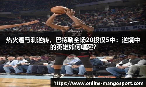 芒果体育官网入口