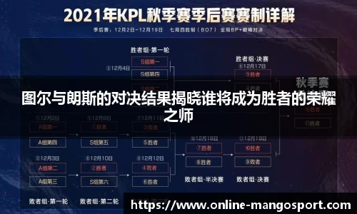 芒果体育官网入口