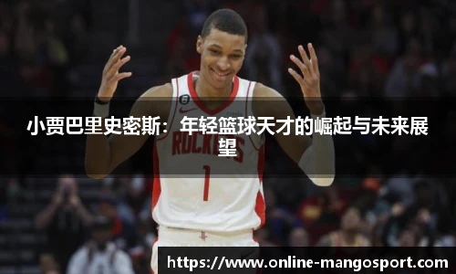 芒果体育官网入口