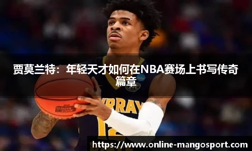 芒果体育官网入口