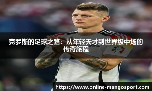 芒果体育官网入口